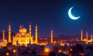 df2df233-5365-4016-9877-0071b82ae3ec-0