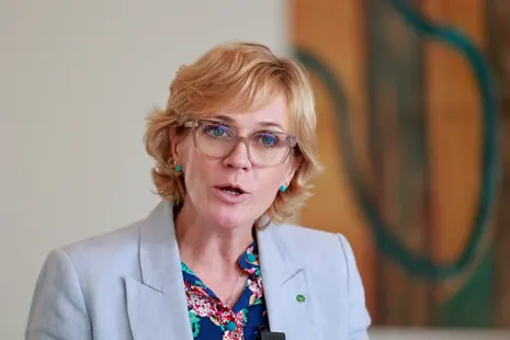 Zali Steggall says donation rules favour teals forming own party but other independents rule out idea