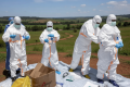 ‘Every health facility said they were full’: alarm over rapid spread of Ebola in DRC