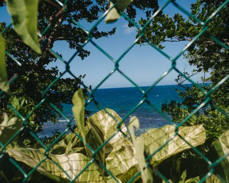 Jamaican beach access campaigners go to court to fight privatisation of coast