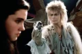 ‘David Bowie was a crazy workaholic’: Labyrinth at 40 – an oral history