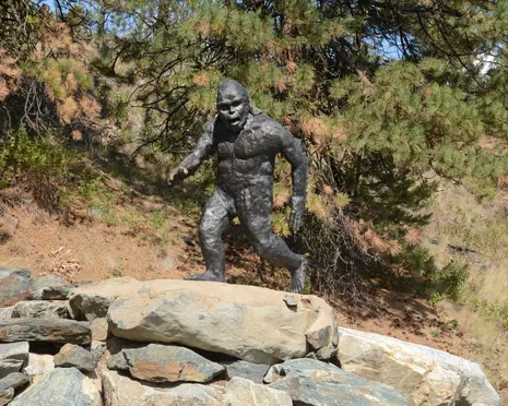 Sasquatch ‘sightings’ reignite fervour and scepticism about ape-like beast
