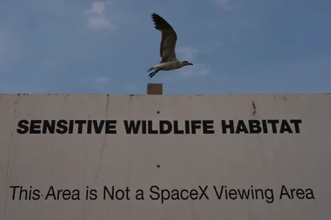 Trump administration land gift to SpaceX would hurt Texas habitat, lawsuit says