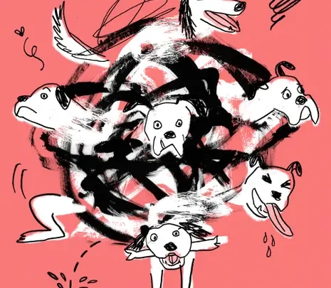 What training my chaotic dog taught me about power, control – and human beings