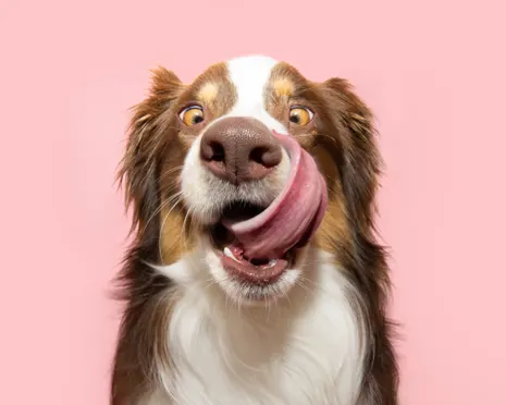 4582