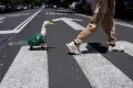 Duck, duck, goal: bird dressed in Mexico’s World Cup jersey scores on social media