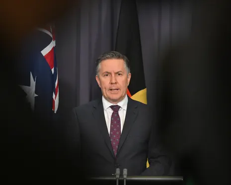 Butler warns Coalition against using NDIS cuts as ‘pawn in bigger game’ and says bill delays could cost billions