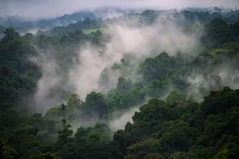 Papua New Guinea faces severe food shortages as El Niño brings frost and drought