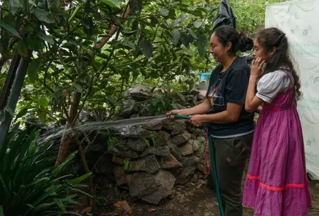 Prickly pears, avocados and lemons: how rainwater harvesting is feeding Mexico City’s gardens and homes