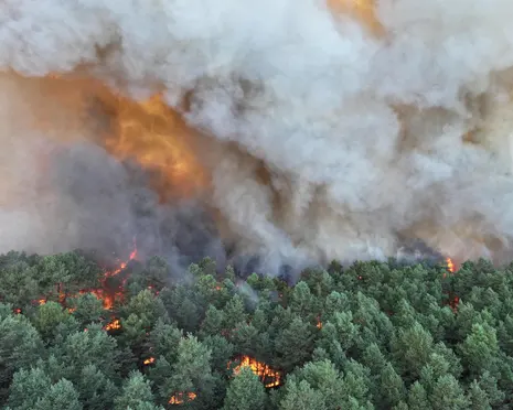 Fire bomber planes battle Fointainebleu forest blaze near Paris