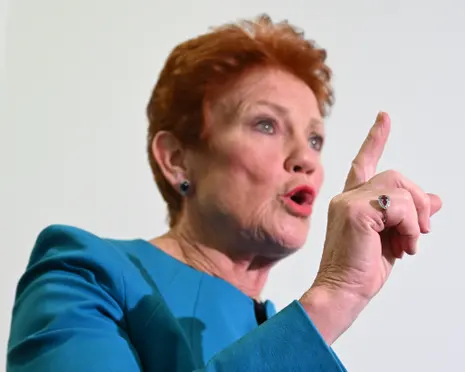 Pauline Hanson says domestic violence prevents police from dealing with ‘real crime’ in unearthed interview