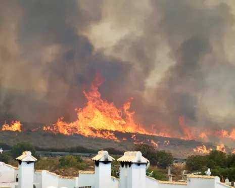 ‘The worst possible combination’: what has caused Spain’s deadly wildfires?