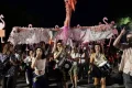 The Guardian view on the flamingo revolution: Albanians are standing up for their rights, as well as for nature
