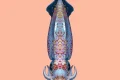 ‘Like an alien invasion’: the neon flying squid that can fly in formation above the ocean