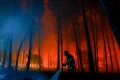 Almost 500 arrested on suspicion of starting wildfires in France this summer