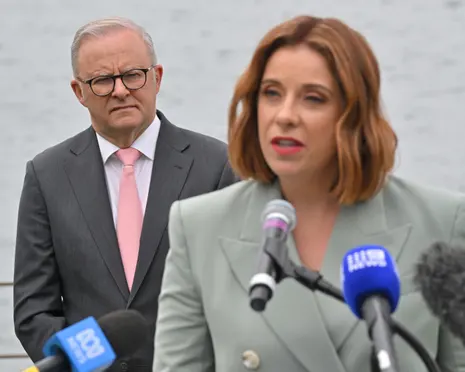 Labor pledges opt-out register for online gambling ads as Pocock calls out shortfalls in government’s bill