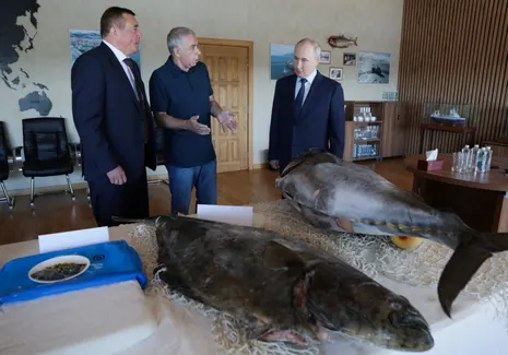 ‘Absolutely unacceptable’: Japan condemns visit by Vladimir Putin to disputed Kuril Islands