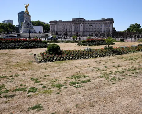 Little rain on the horizon as England and Wales experience driest July on record
