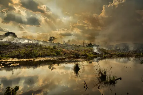 El Niño may peak at the worst time for the Amazon – and it should worry us all