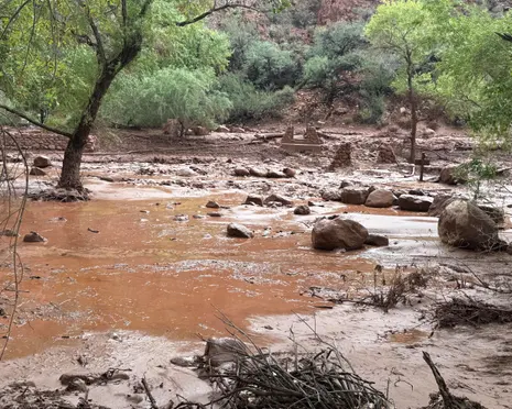 Two people dead and nearly 80 rescued after Grand Canyon flash flood
